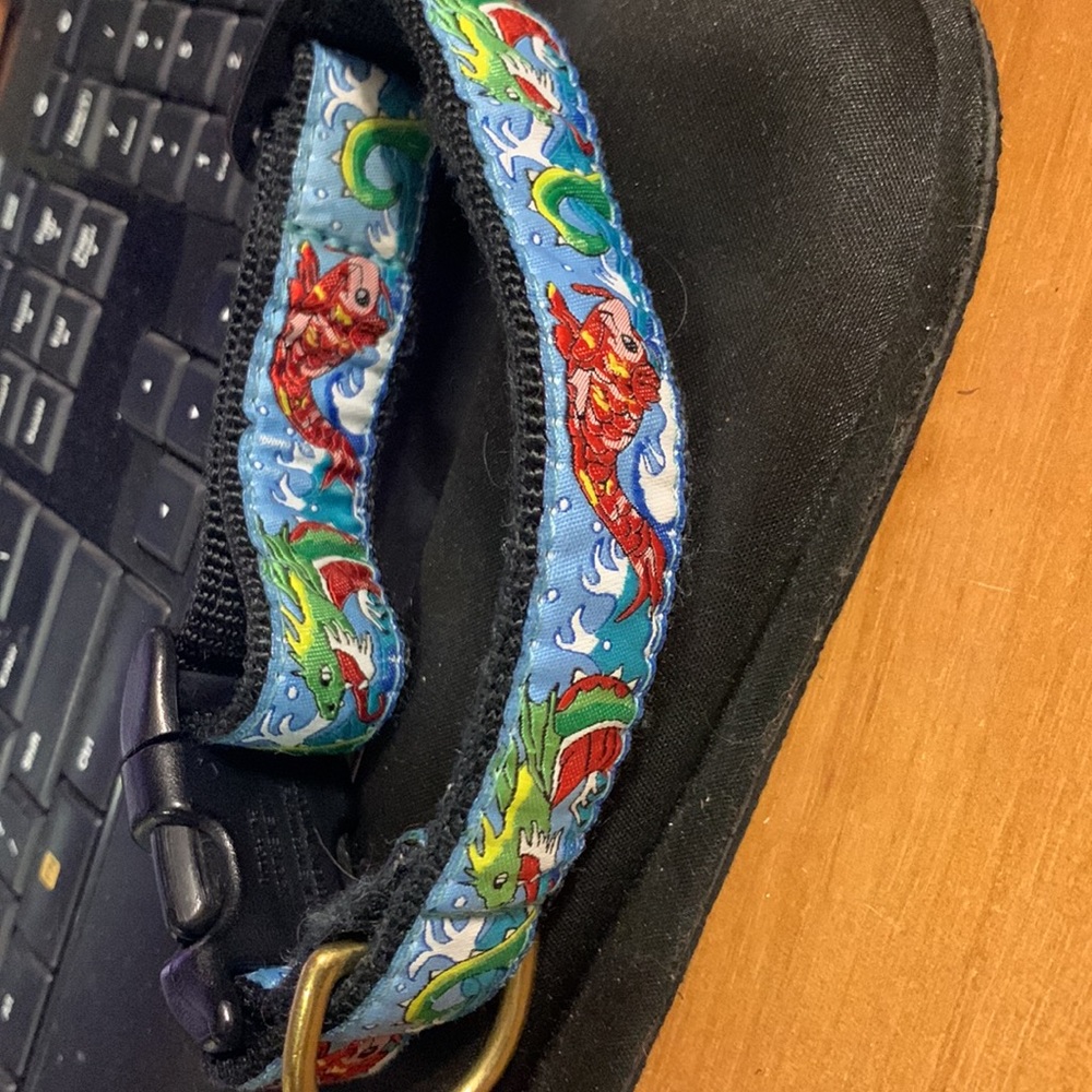 Up country collar